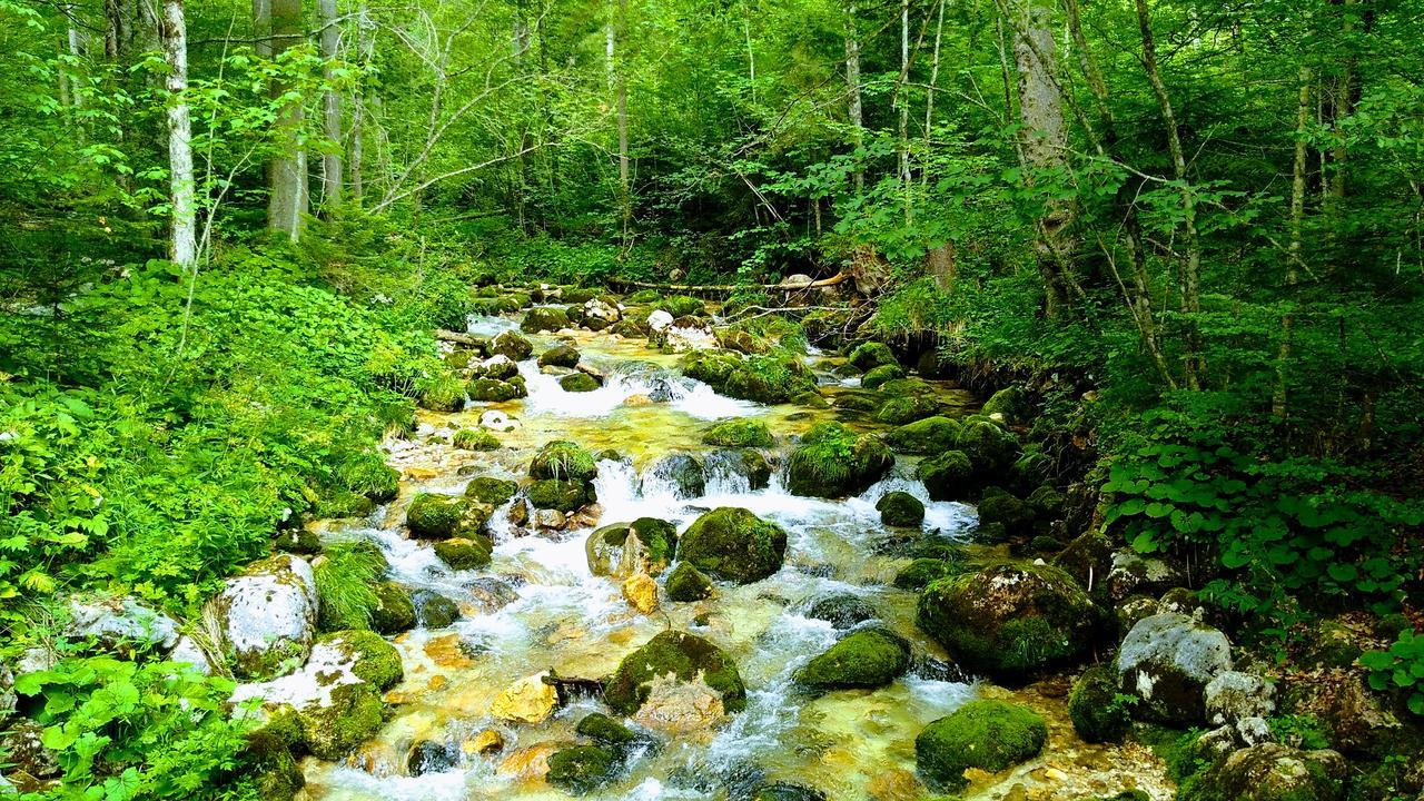Haus Hepi Otel Obertraun Dış mekan fotoğraf